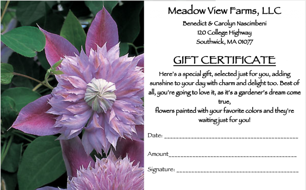 gift certificate for meadow view farms